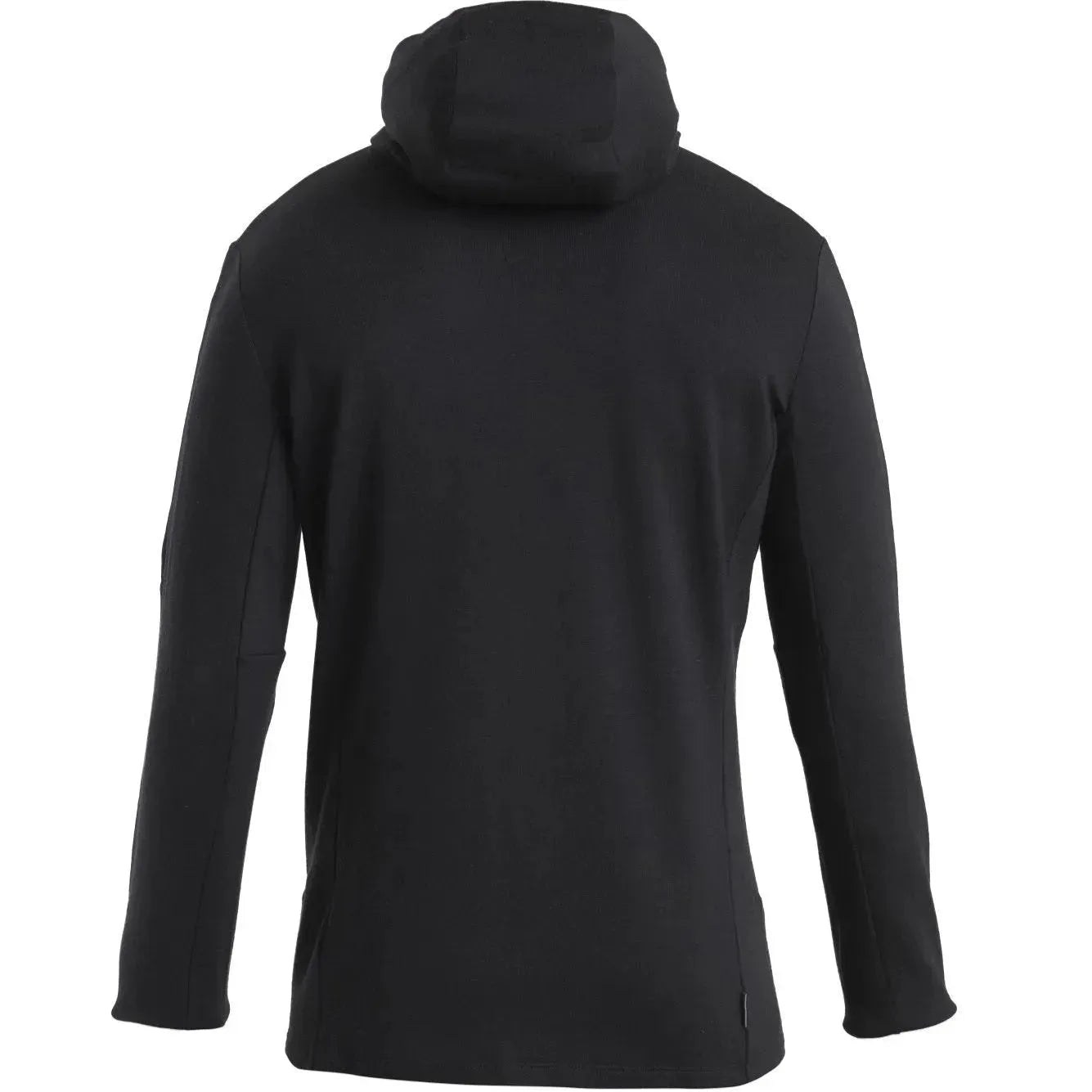 ice-breaker-zip-hoodie-merino-260-quantum-iv-ansicht-2