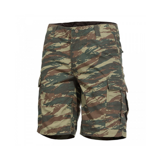 Hose BDU 2.0 Short Pants Camo