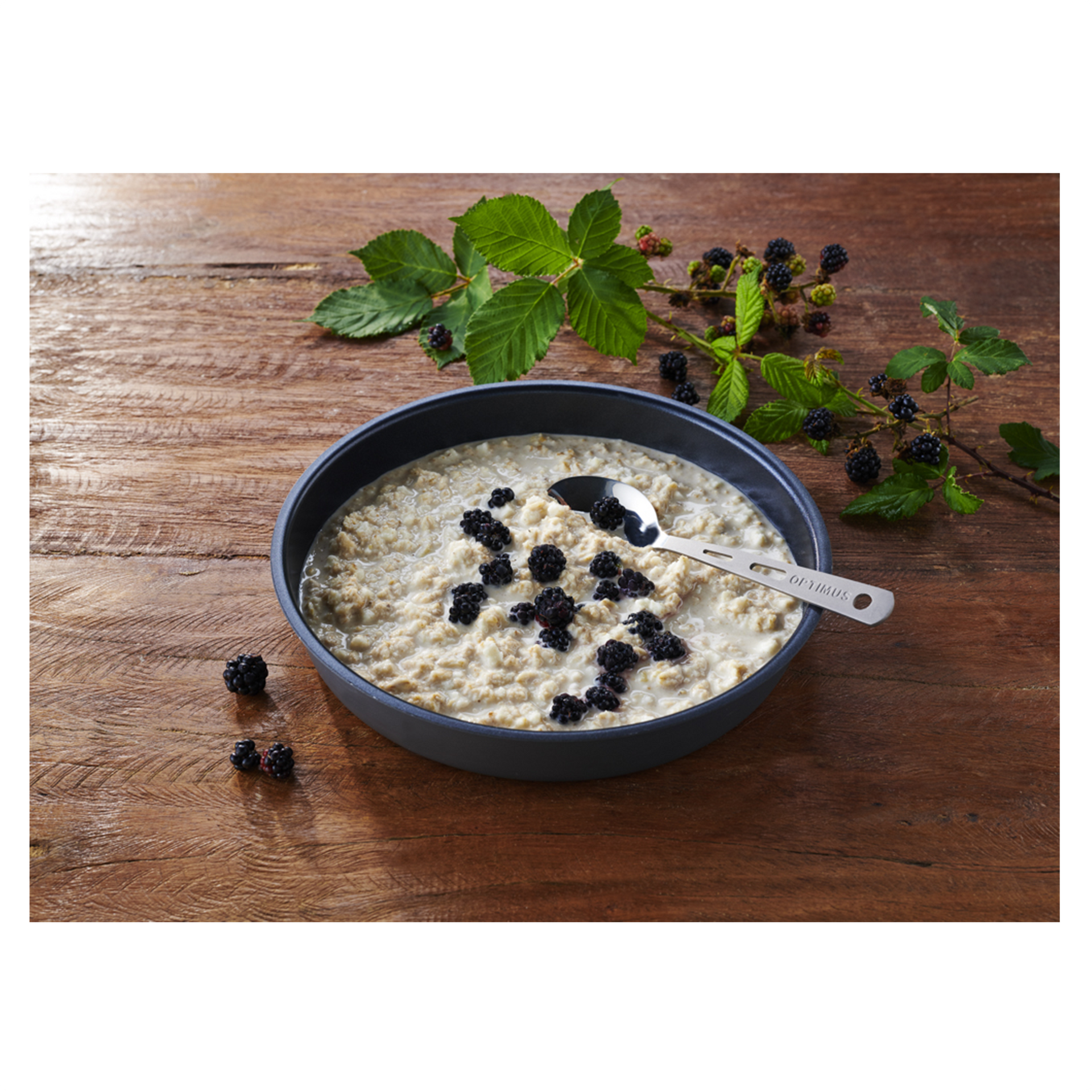 trek-n-eat-protein-porridge-ansicht-2