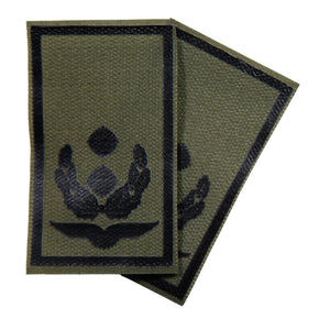 Oberstleutnant