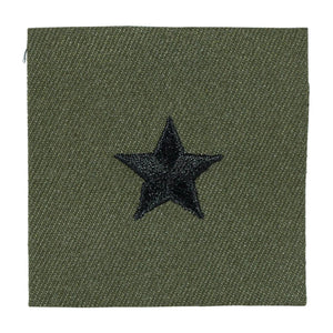 Brigadier General