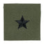 Brigadier General