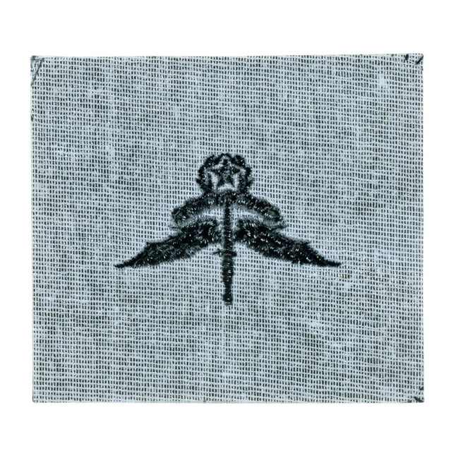 Insigne US Freefall Halo Master textile
