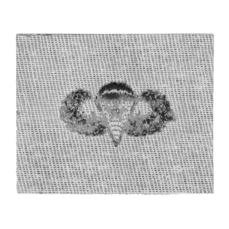 Distintivo tessile da combattimento paracadutista degli Stati Uniti