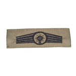 fritzsch-bw-taetigkeitsabzeichen-flugsicherung-ansicht-3