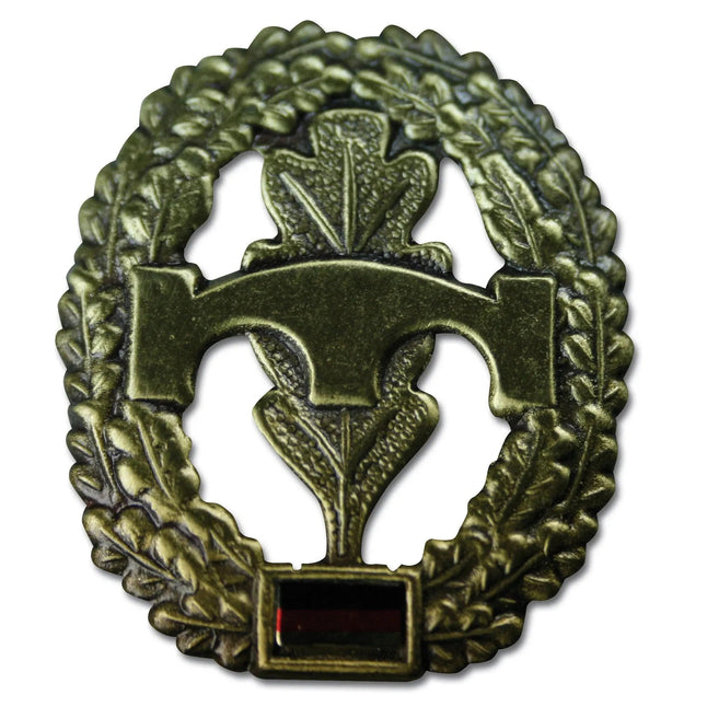 fritzsch-abzeichen-bw-barett-pioniertruppe-ansicht-2