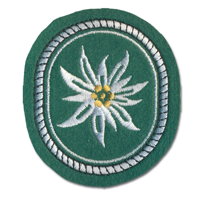 tischler-abzeichen-1-gebirgsdivision-textil-ansicht-1