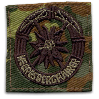 Insignia BW Heeresbergführer