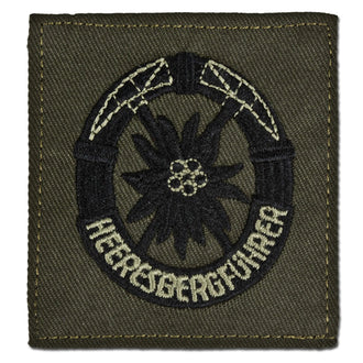 Insignia BW Heeresbergführer