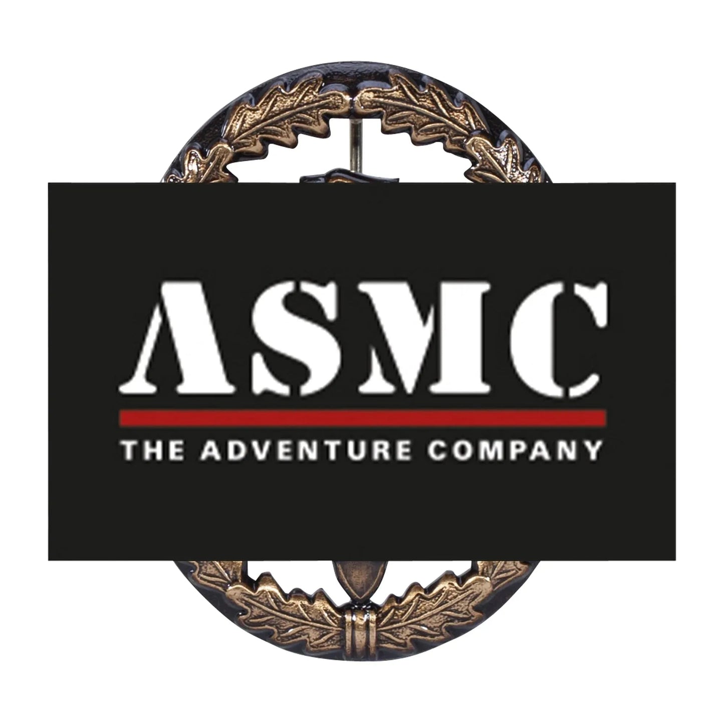 fritzsch-leistungsabzeichen-bw-metall-ansicht-1