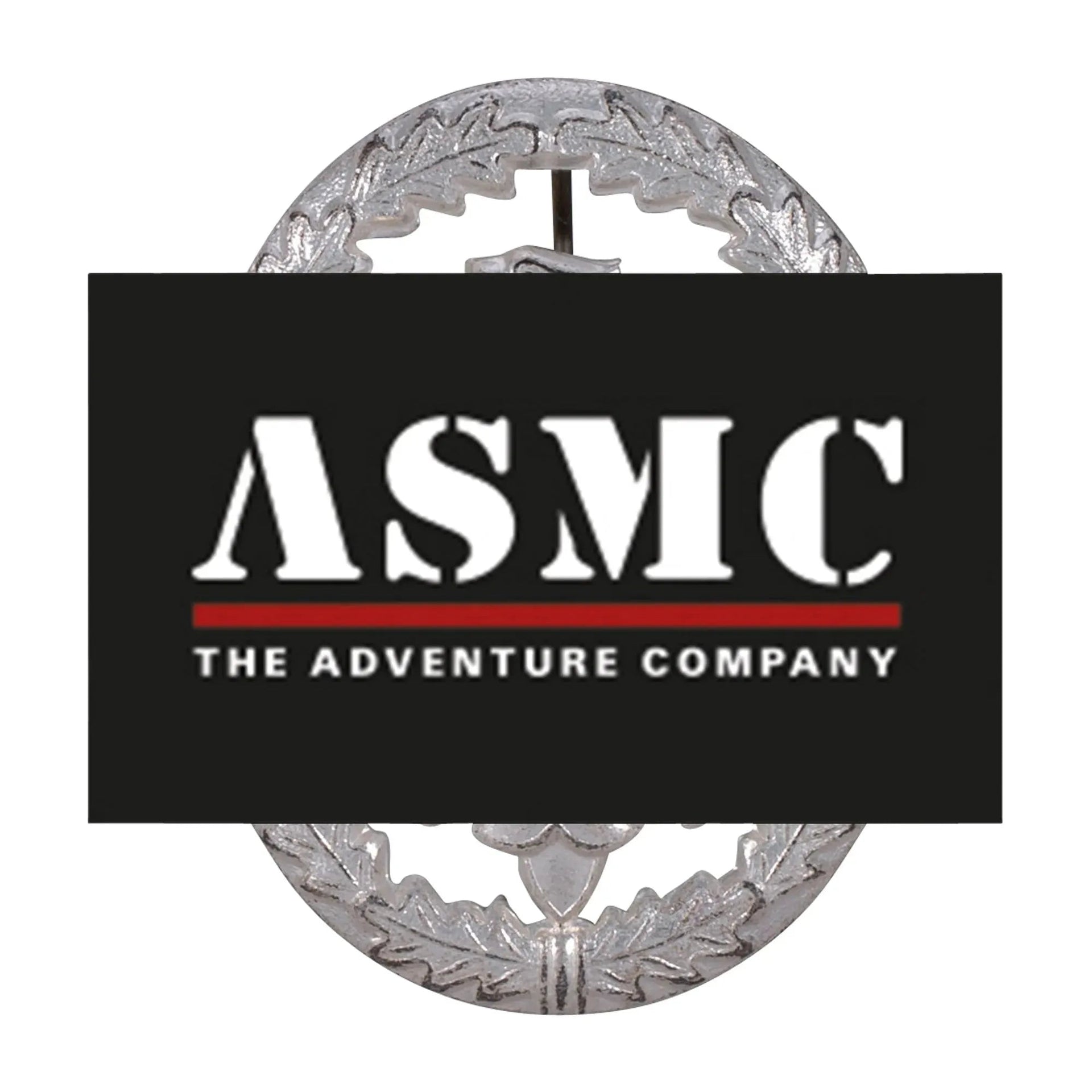 fritzsch-leistungsabzeichen-bw-metall-ansicht-4