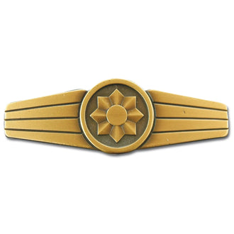 Insignia BW Feldjäger metal color bronce