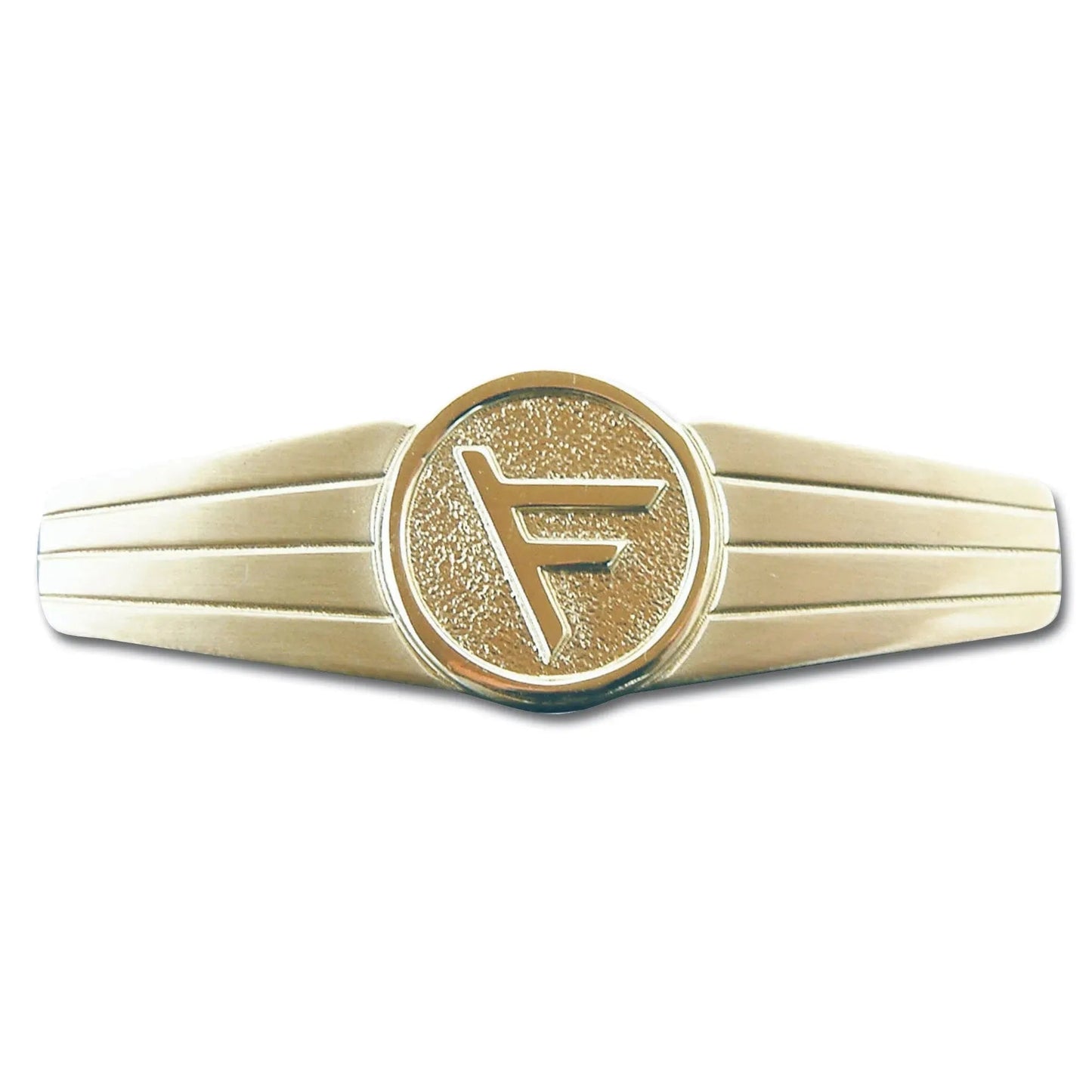 fritzsch-abzeichen-bw-fuehrungsdienstpersonal-metall-ansicht-2