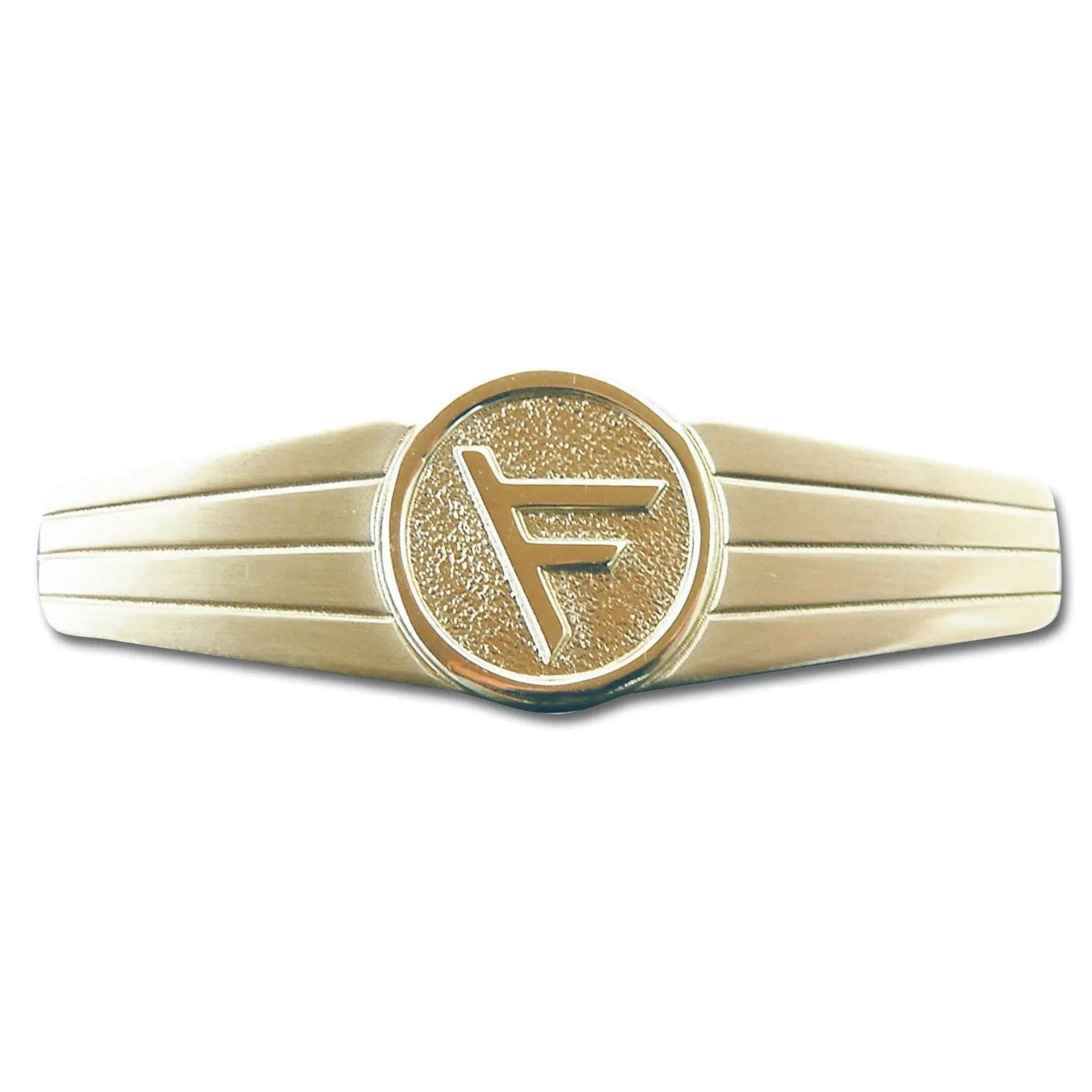 fritzsch-abzeichen-bw-fuehrungsdienstpersonal-metall-ansicht-2