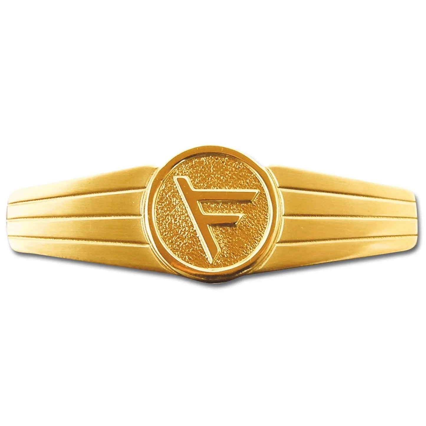 fritzsch-abzeichen-bw-fuehrungsdienstpersonal-metall-ansicht-1