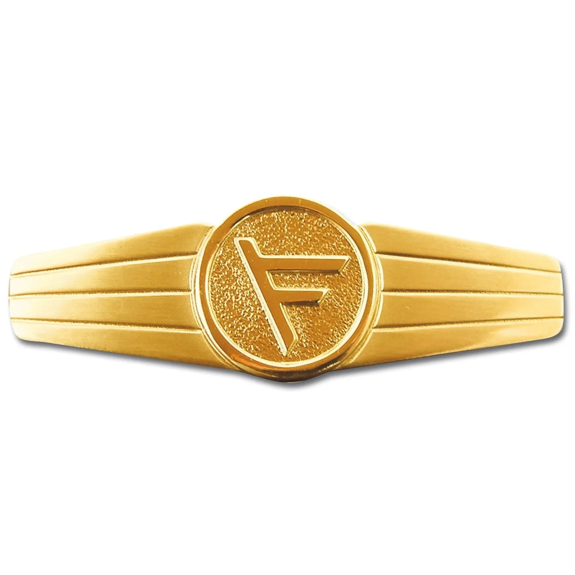 fritzsch-abzeichen-bw-fuehrungsdienstpersonal-metall-ansicht-1