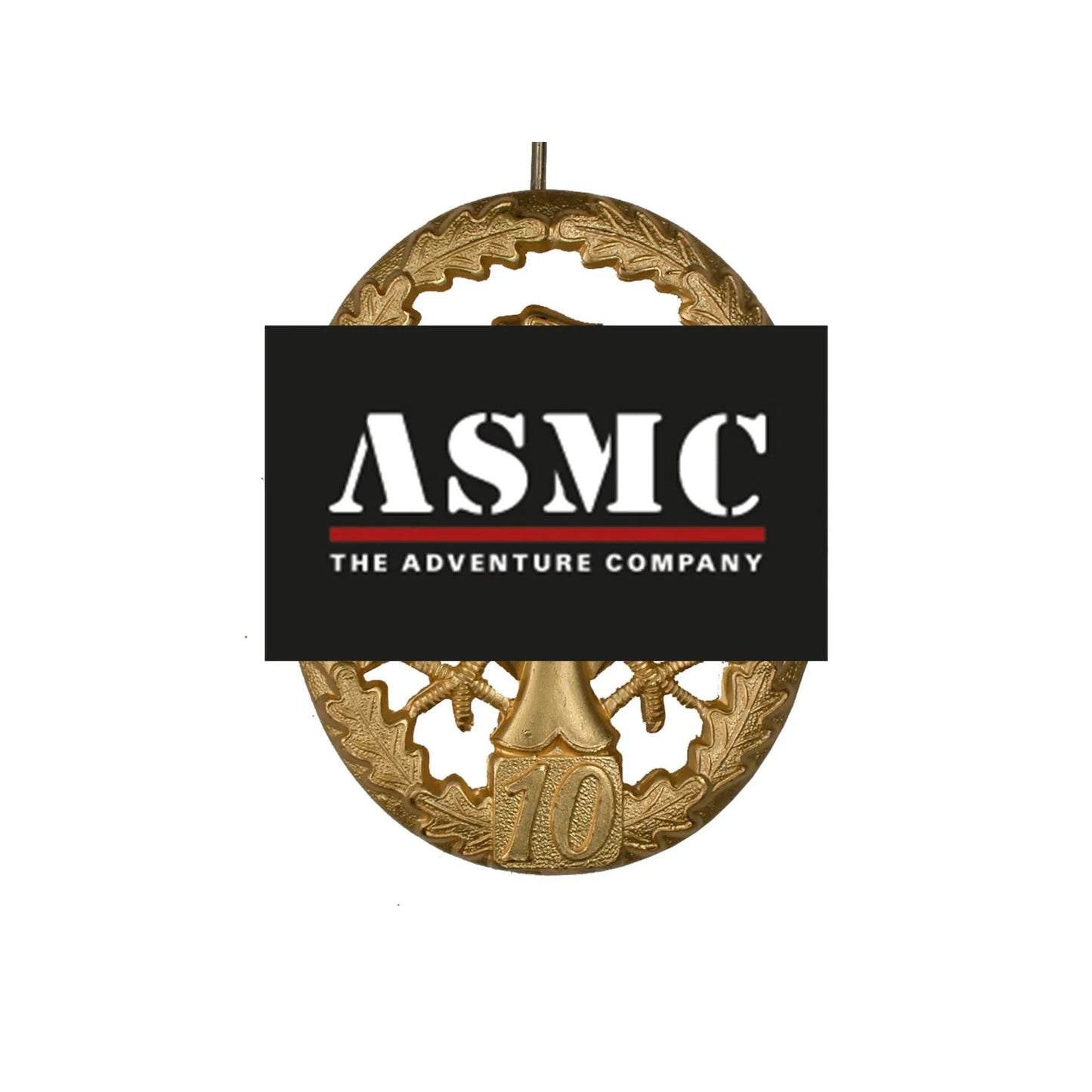 fritzsch-leistungsabzeichen-bw-metall-ansicht-6