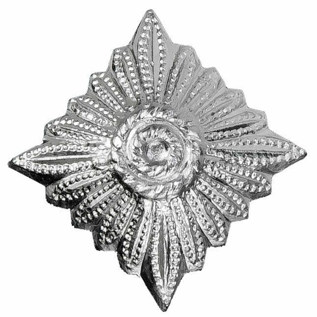 nva-dienstgradstern-ansicht-2