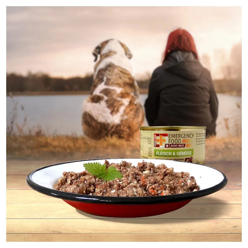 ef-emergency-food-basics-meat-fleisch-gemuese-ansicht-2