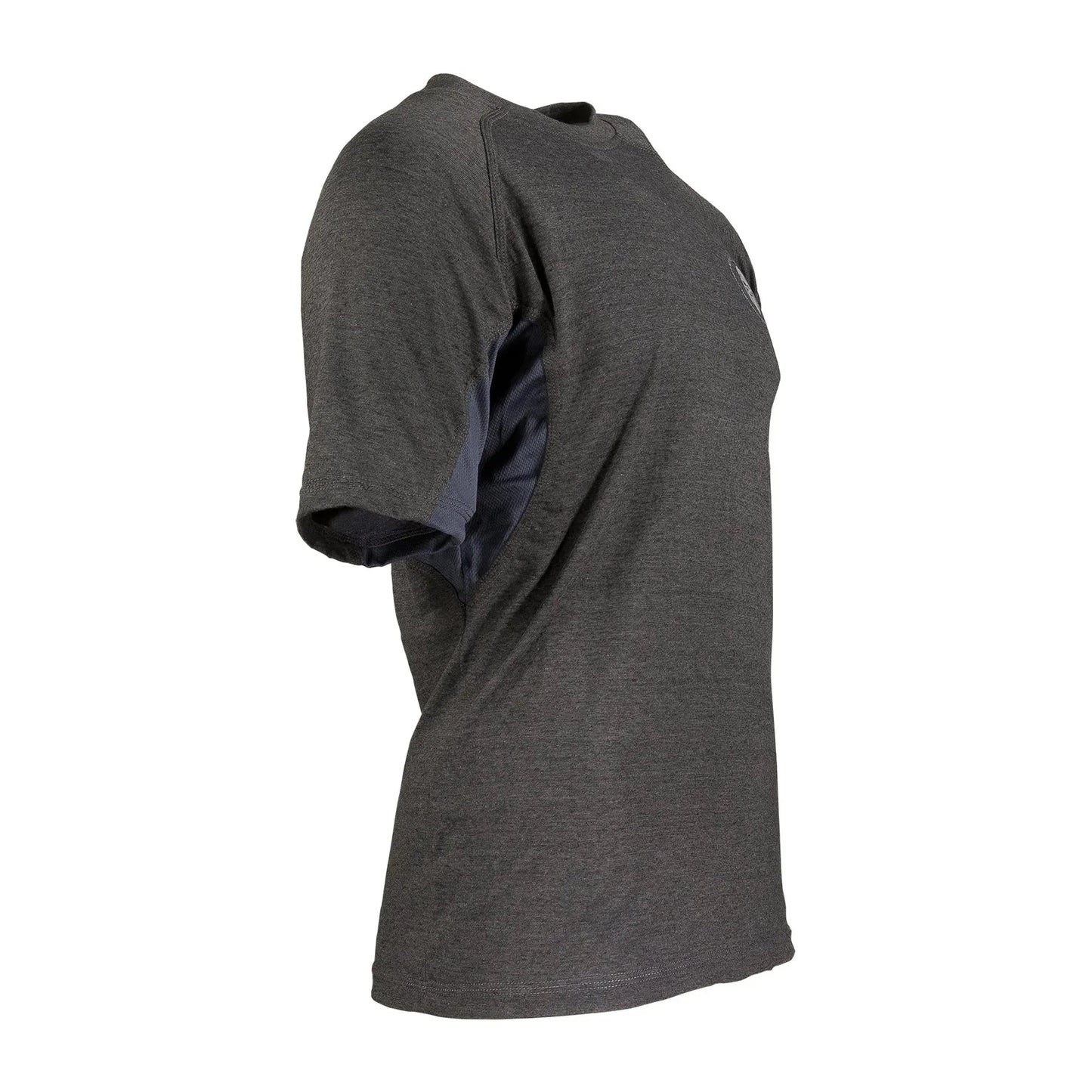 ragnar-raids-t-shirt-aesir-norse-grau-ansicht-3