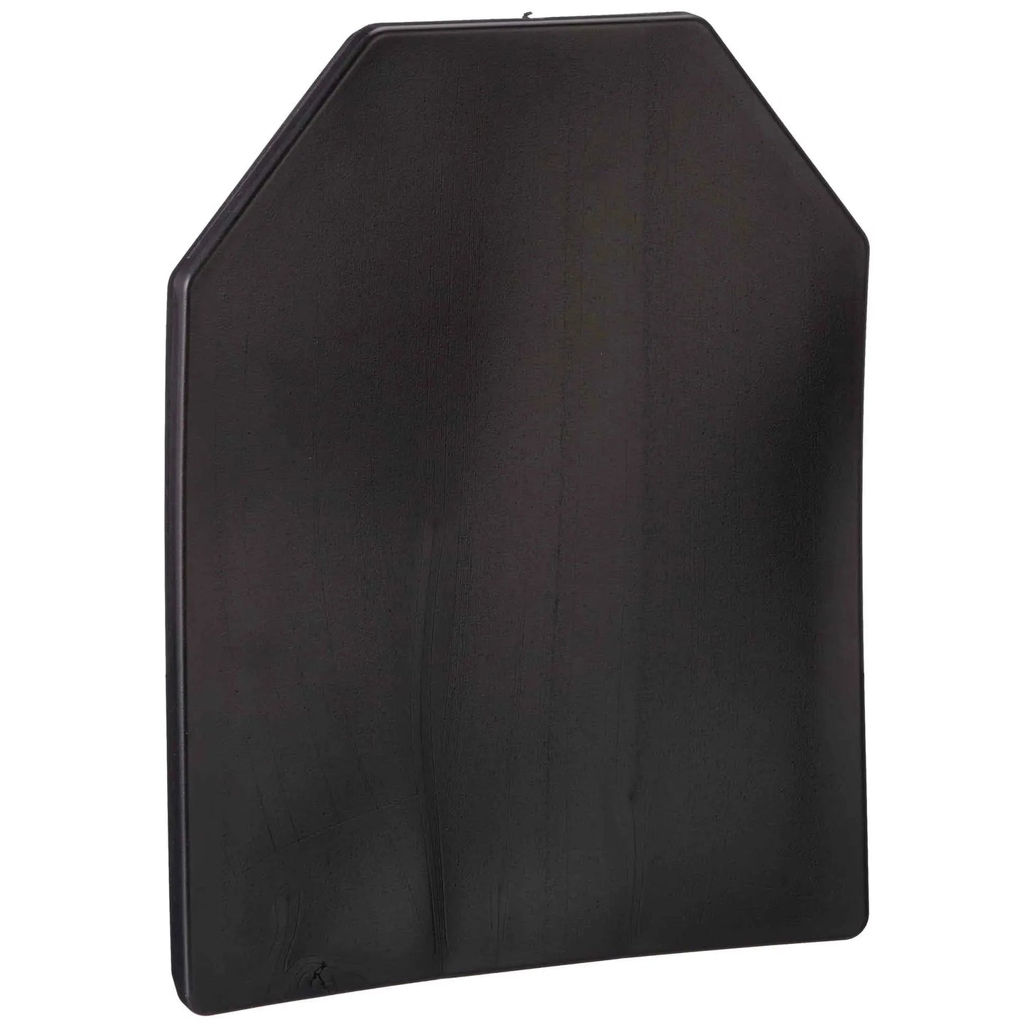 pirate-arms-trainingsplatte-sapi-dummy-plate-ansicht-2