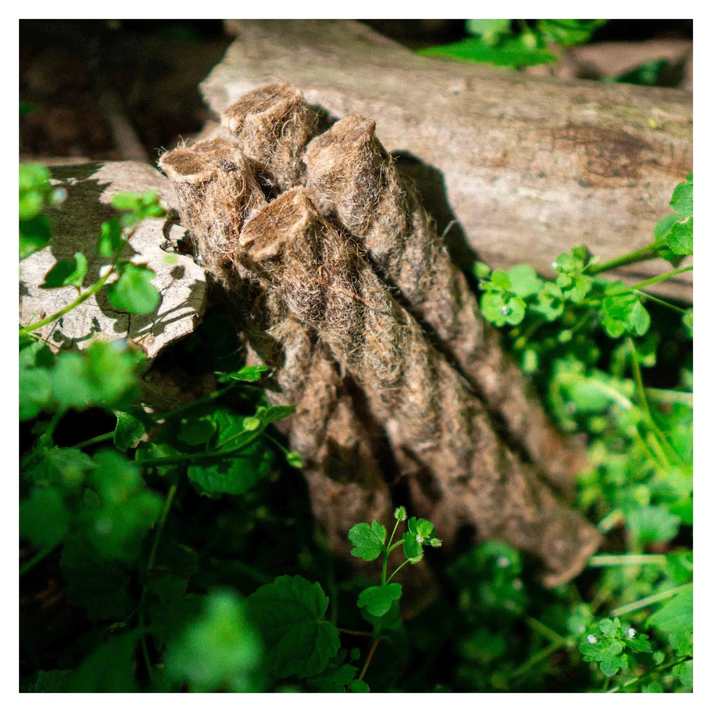 survival-stuff-hanfseil-fat-rope-natur-ansicht-7